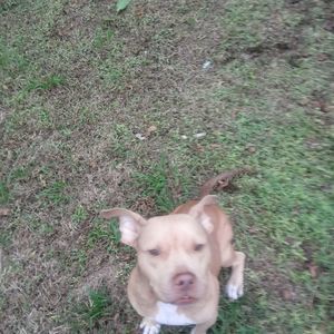 Meet your Posher, Will